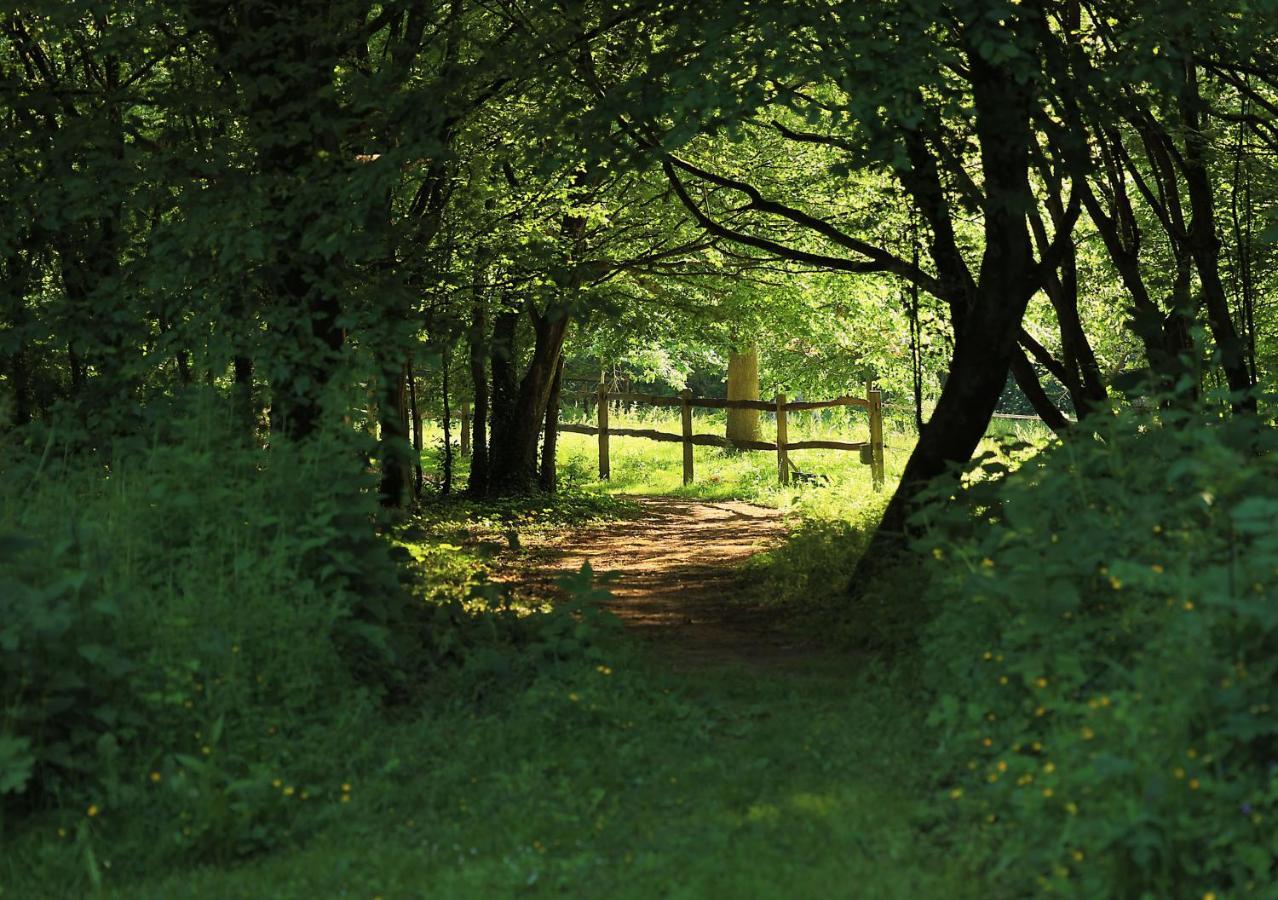 Loison-sur-CréquoiseDomaine De Fresnoy住宿加早餐旅馆 外观 照片