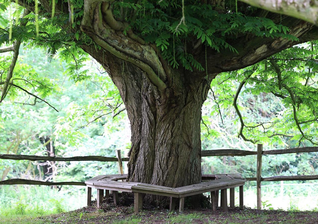 Loison-sur-CréquoiseDomaine De Fresnoy住宿加早餐旅馆 外观 照片