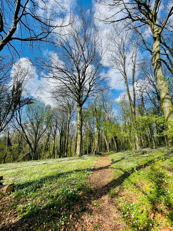 Loison-sur-CréquoiseDomaine De Fresnoy住宿加早餐旅馆 外观 照片