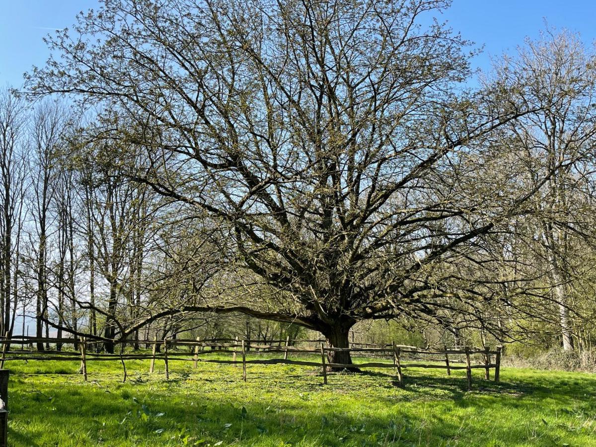 Loison-sur-CréquoiseDomaine De Fresnoy住宿加早餐旅馆 外观 照片