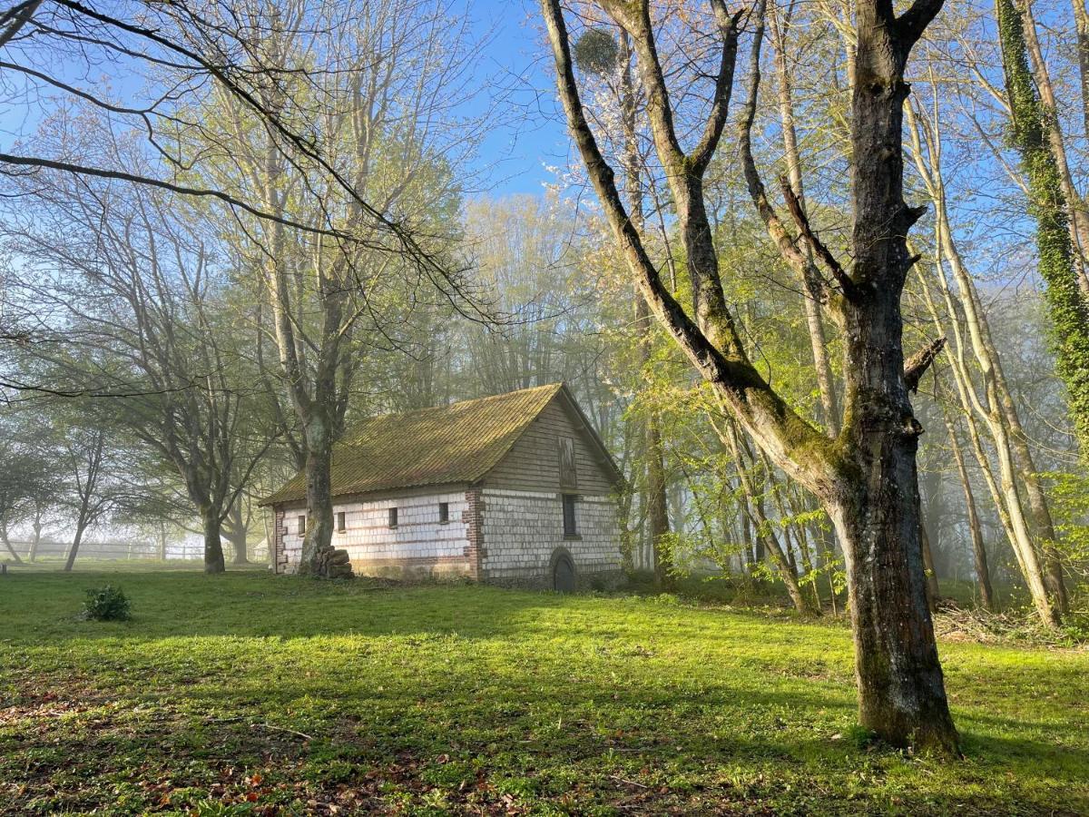 Loison-sur-CréquoiseDomaine De Fresnoy住宿加早餐旅馆 外观 照片