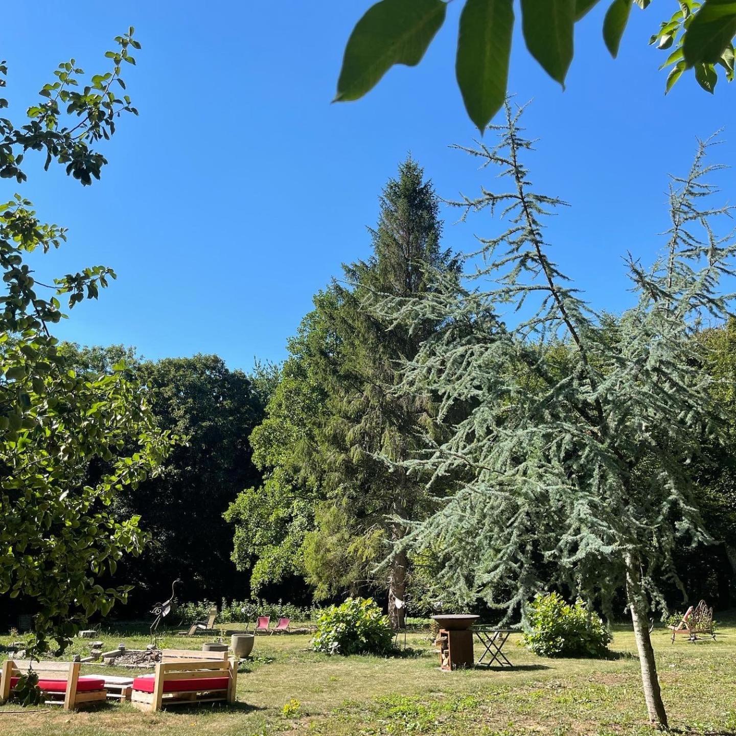 Loison-sur-CréquoiseDomaine De Fresnoy住宿加早餐旅馆 外观 照片
