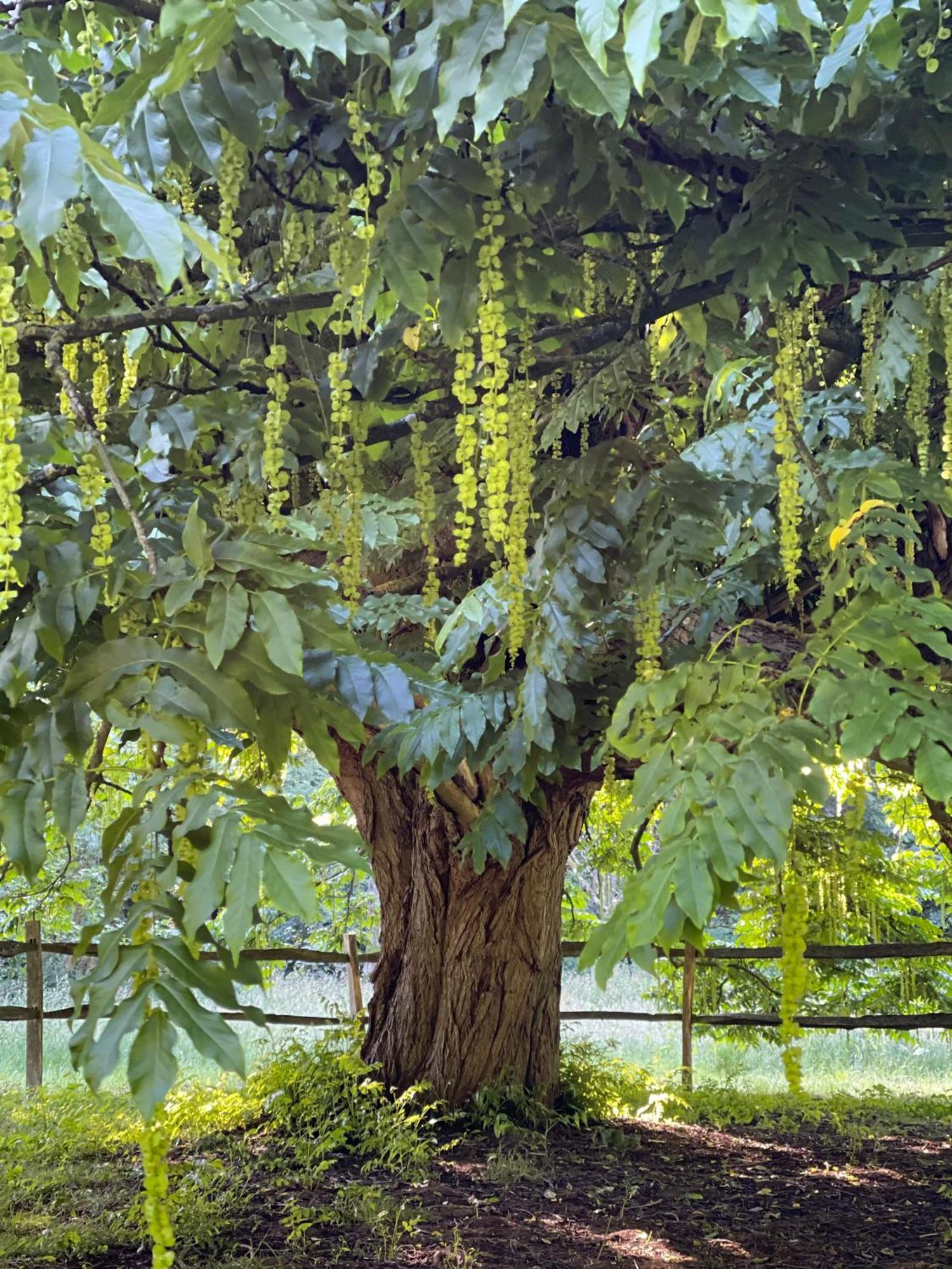 Loison-sur-CréquoiseDomaine De Fresnoy住宿加早餐旅馆 外观 照片