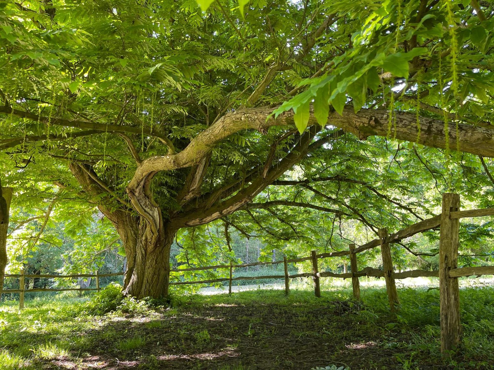 Loison-sur-CréquoiseDomaine De Fresnoy住宿加早餐旅馆 外观 照片