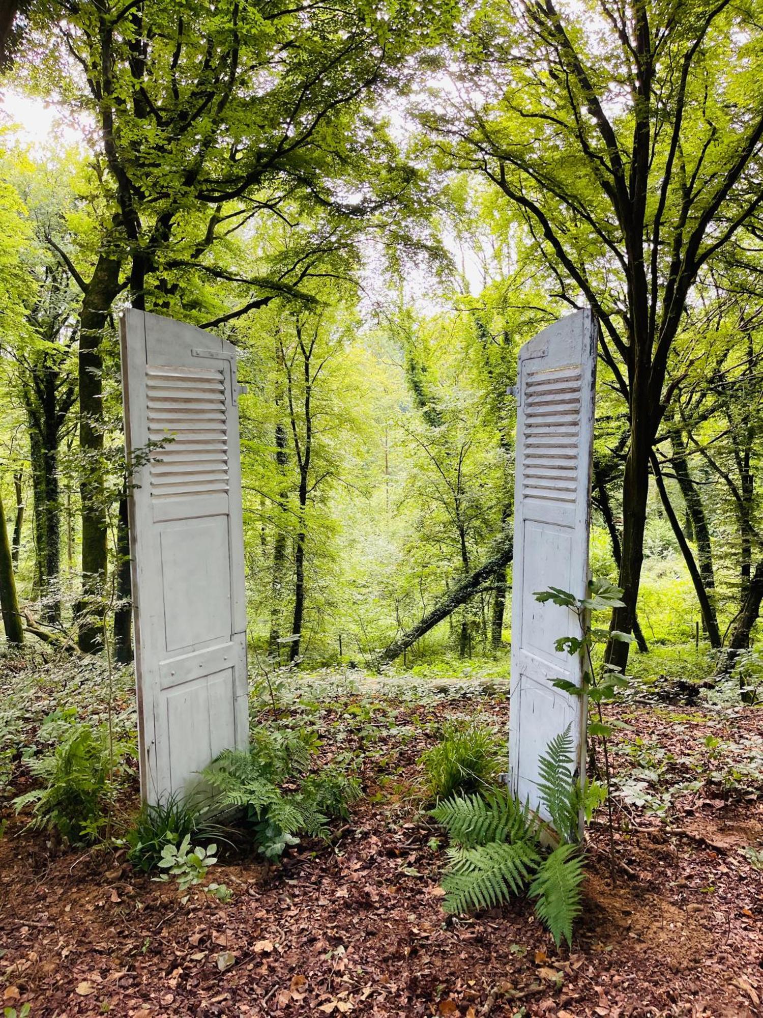 Loison-sur-CréquoiseDomaine De Fresnoy住宿加早餐旅馆 外观 照片