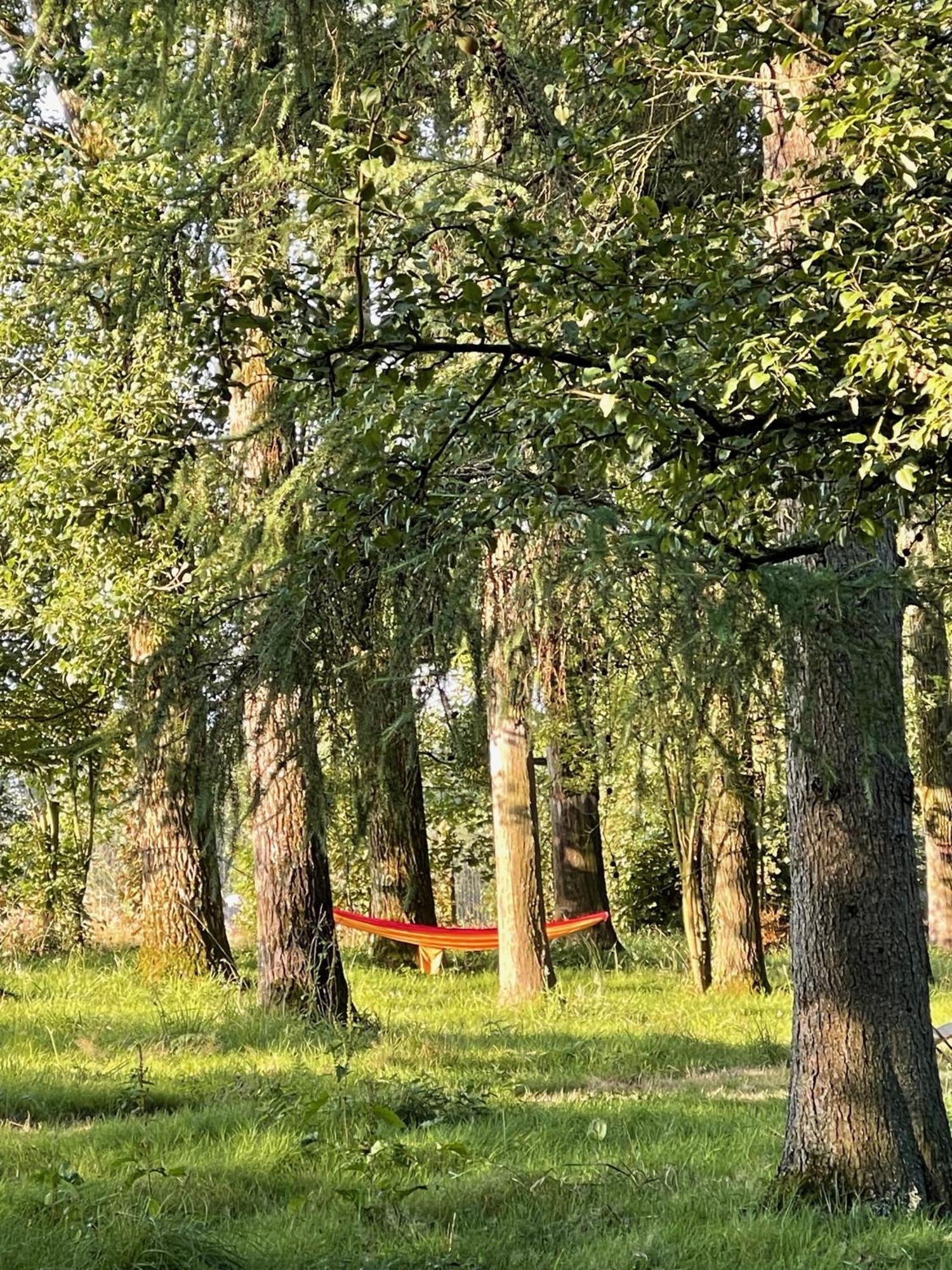 Loison-sur-CréquoiseDomaine De Fresnoy住宿加早餐旅馆 外观 照片