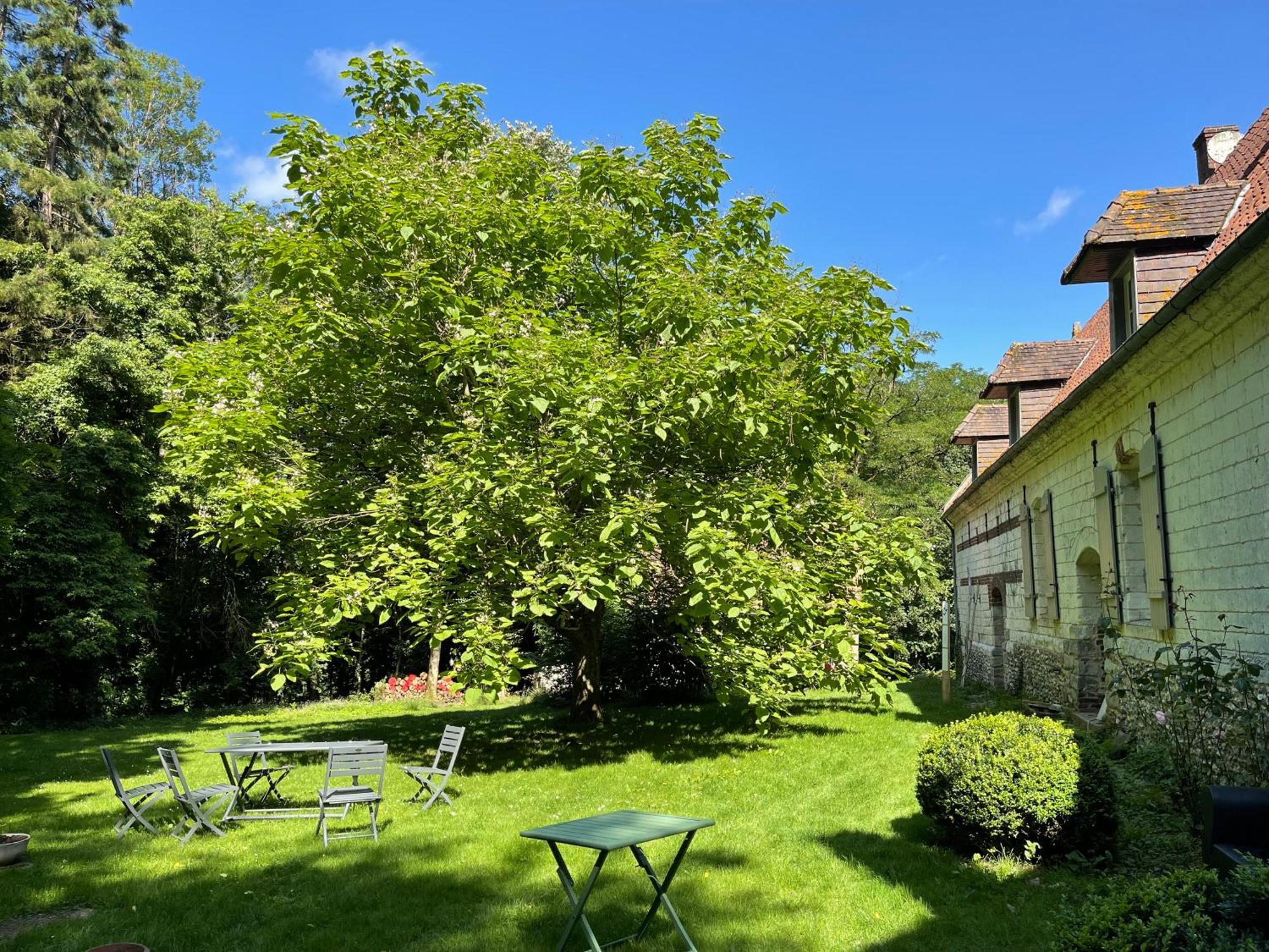 Loison-sur-CréquoiseDomaine De Fresnoy住宿加早餐旅馆 外观 照片